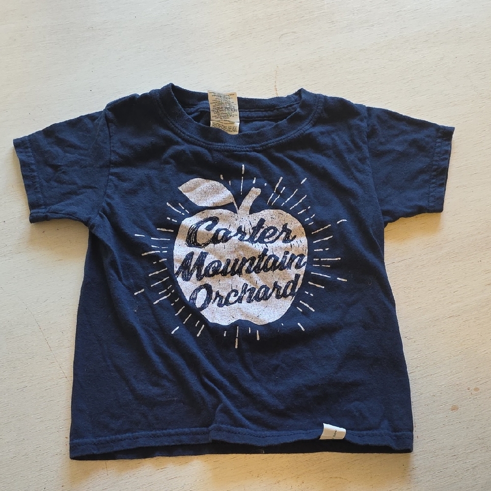 Gildan Kids‎ Navy Blue Apple Graphic Tee